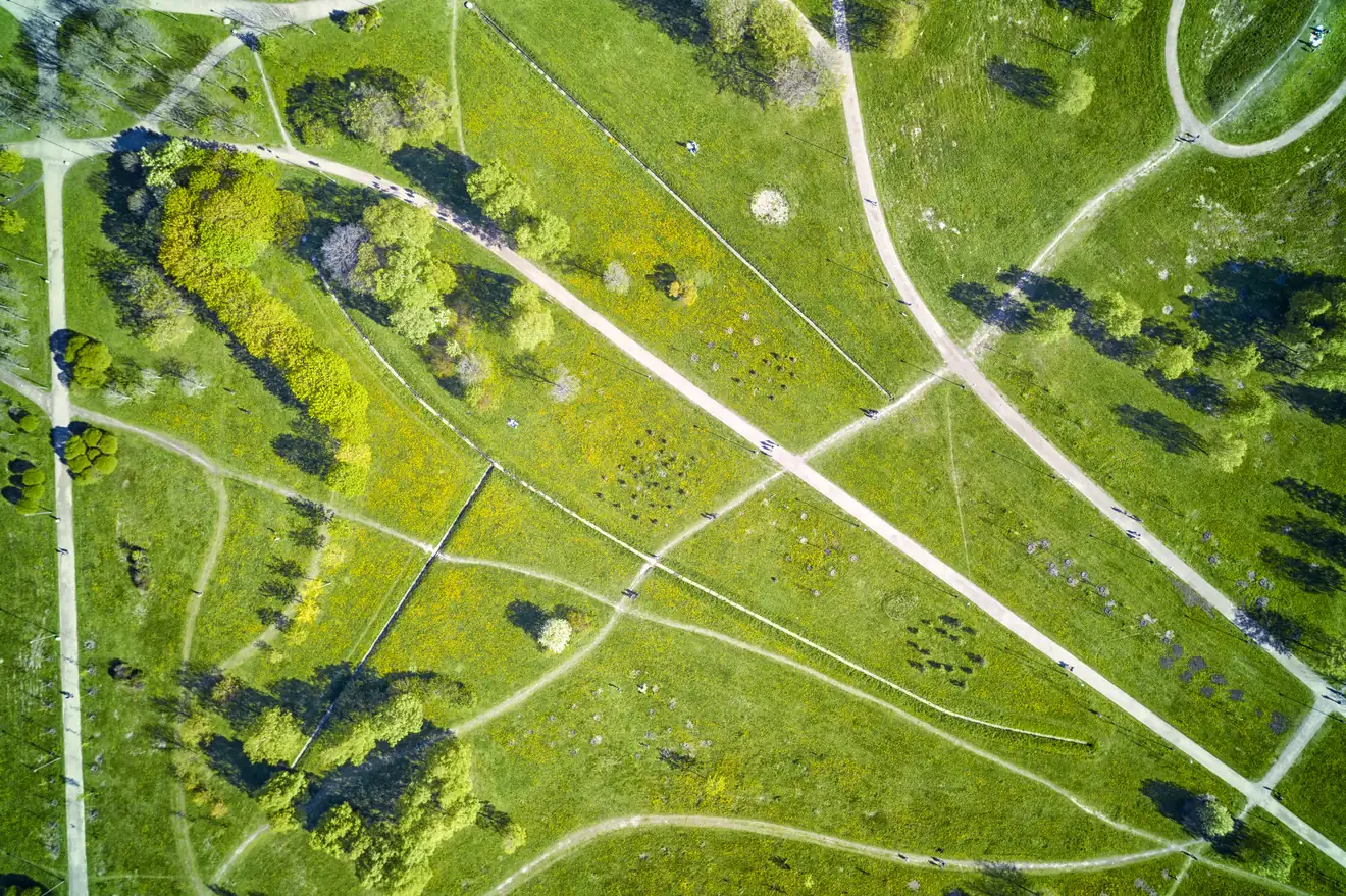 Pedestrian and bicycle paths in the green summer park, Russia.