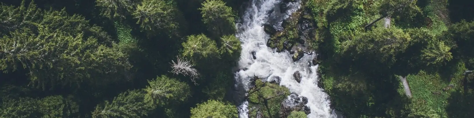 Waterfall In Forest, Lenk, Switzerland.