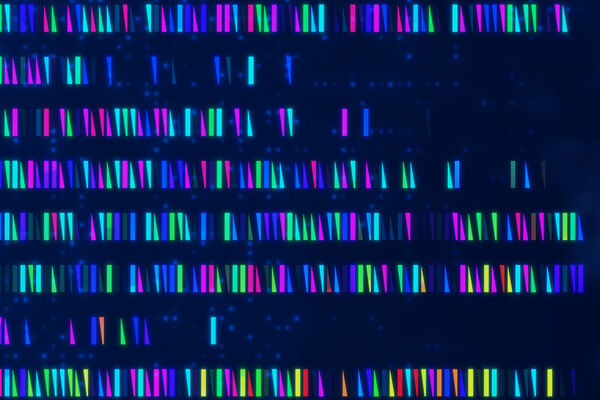 DNA sequence depiction